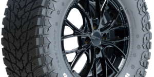 255/65 R 18 Comforser Winter Pro-Blizzard 120R 3PMSF