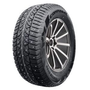 Compasal Winter Stud 225/55R19