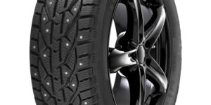 Tigar Ice 205/65R15