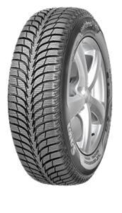 Sava Eskimo Ice DOT19 215/55R16