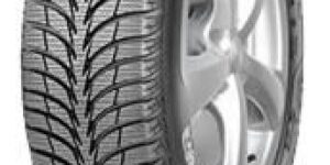 Sava Eskimo Ice DOT19 215/55R16