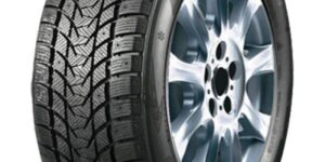 2764 4.jpg