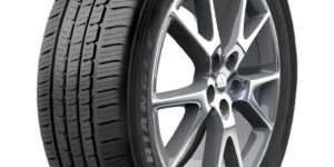 Triangle Advantex (tc101) 245/50R17