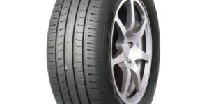 215/55 R 17 Leao Nova-Force HP100 94V TL EU