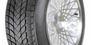 Landsail Winter Lander (Nordic) 225/55R17