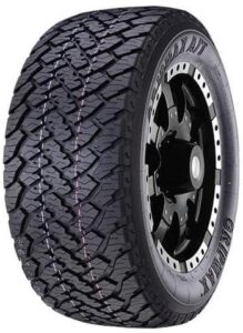 Gripmax Inception A/t 3pmsf Rwl 225/65R17