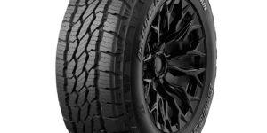255/60 R 18 Bridgestone Dueler A/T002 112T XL TL 3PMSF