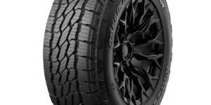 225/65 R 17 Bridgestone Dueler AT002 102H TL 3PMSF