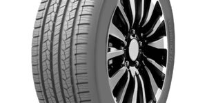 255/55 R 20 Doublestar DS01 110V XL