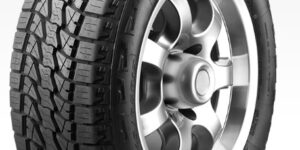 245/65 R 17 Leao Lion Sport A/T100 111T XL TL 3PMSF
