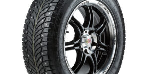 225/60 R 17 Wolf Nord 2 99T